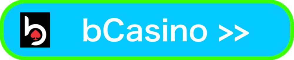 bcasino入口